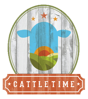 Application Icon